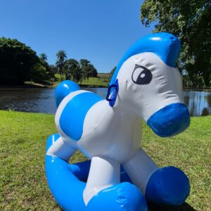 CAVALINHO