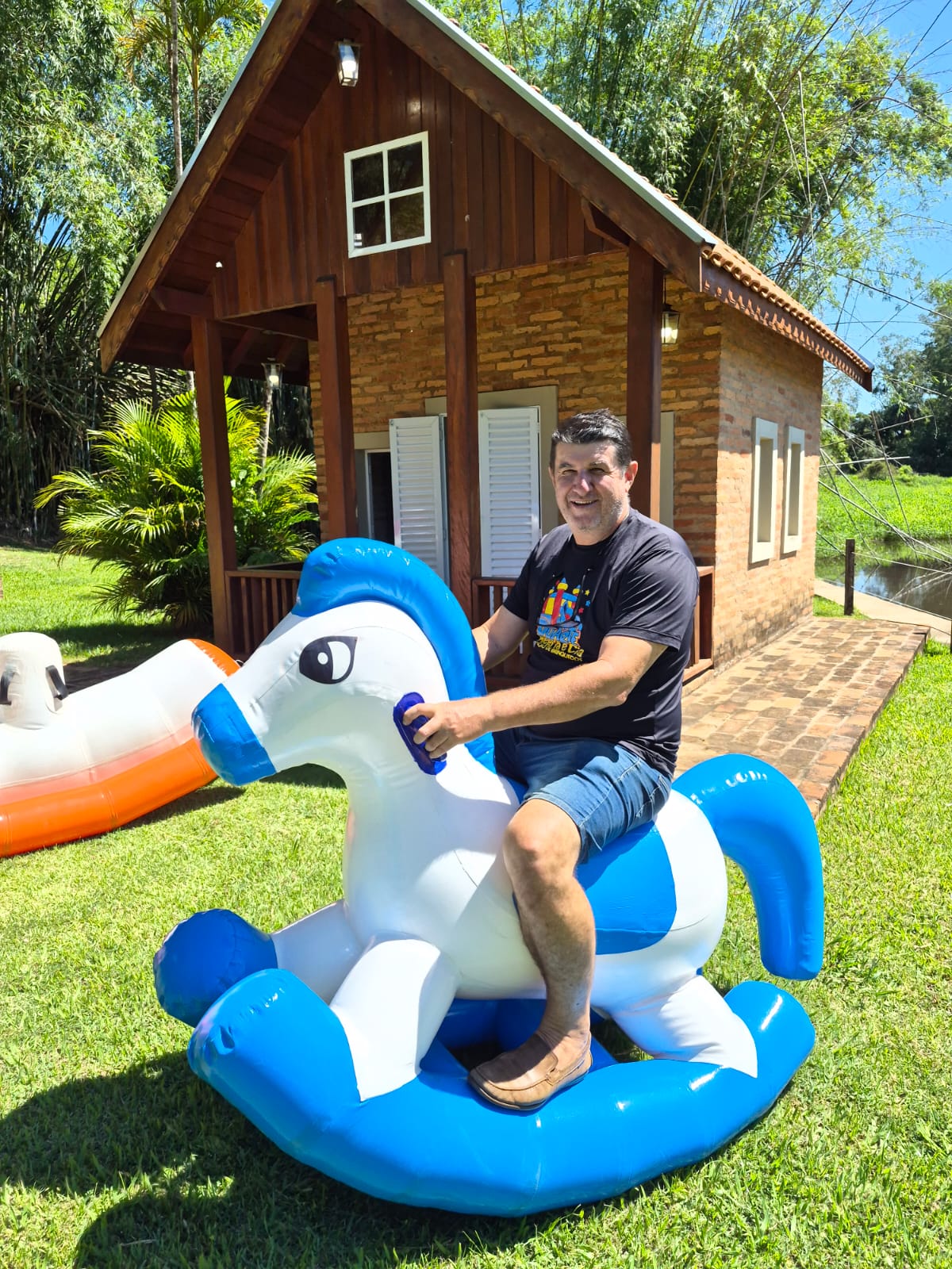 CAVALINHO - Imagem 2